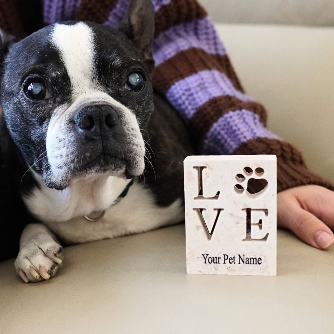 French bulldog and pet owner next to personalized stone plaque with LOVE and a paw print